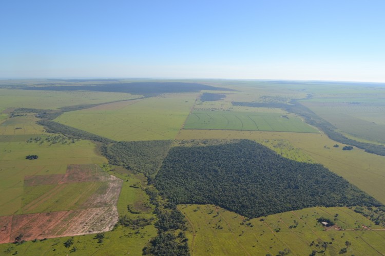6 Verra abre consulta pública para verificação dos primeiros créditos de carbono do Projeto ARR Corredores de Vida