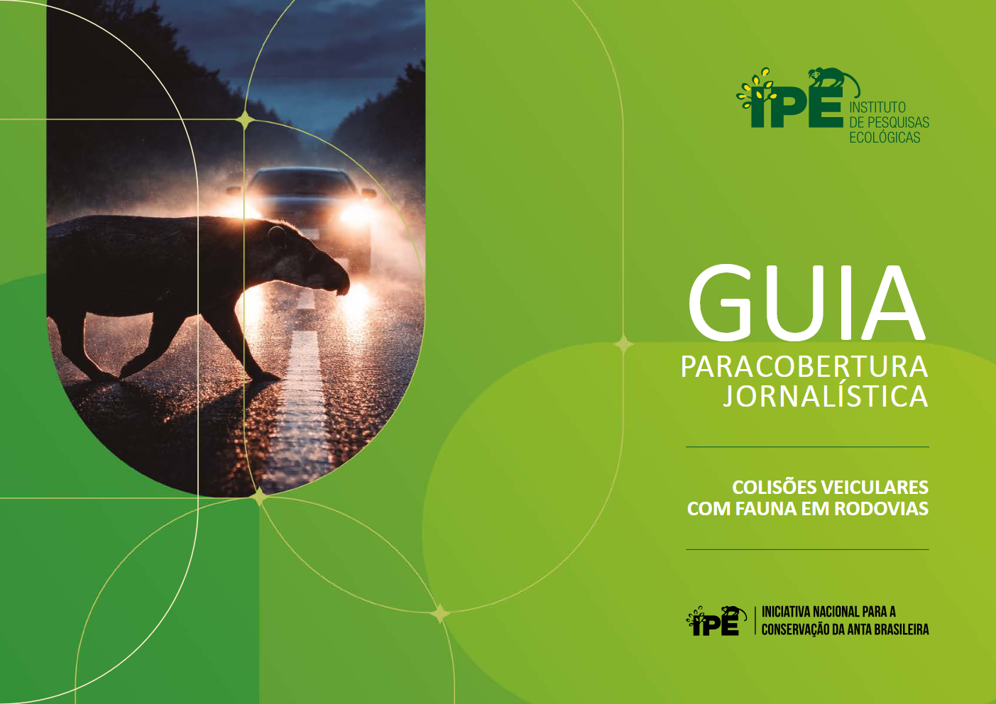 Publicação Destaque 02